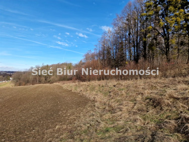 Działka rolna Łazy