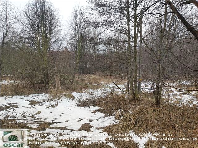 Działka Sławnikowice