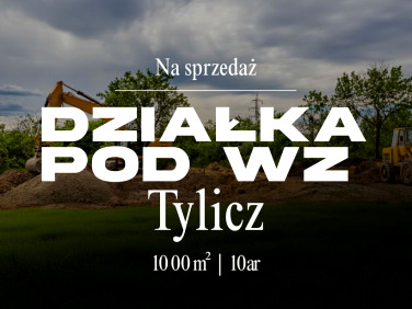 Działka Tylicz