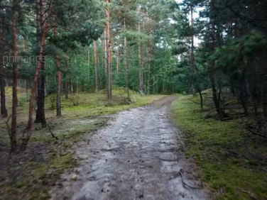 Działka leśna Czosnów
