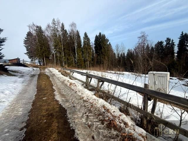 Zdjęcie 2