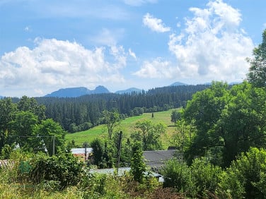 Dom Dzianisz