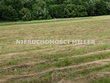 Działka budowlana Czarny Bór