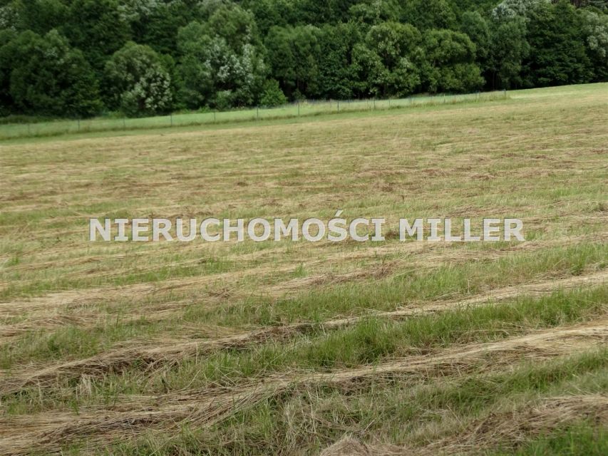 Działka budowlana Czarny Bór