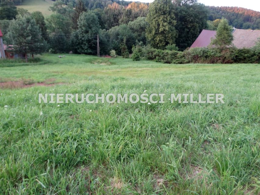 Działka budowlana Rybnica Leśna