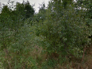 Działka budowlana Milanówek