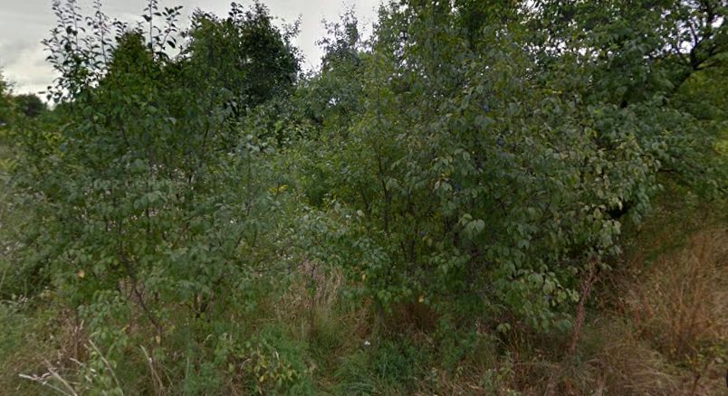 Działka budowlana Milanówek