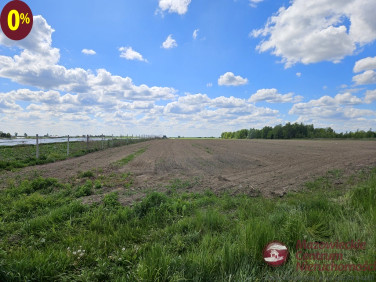 Działka rolna Wygoda Smoszewska