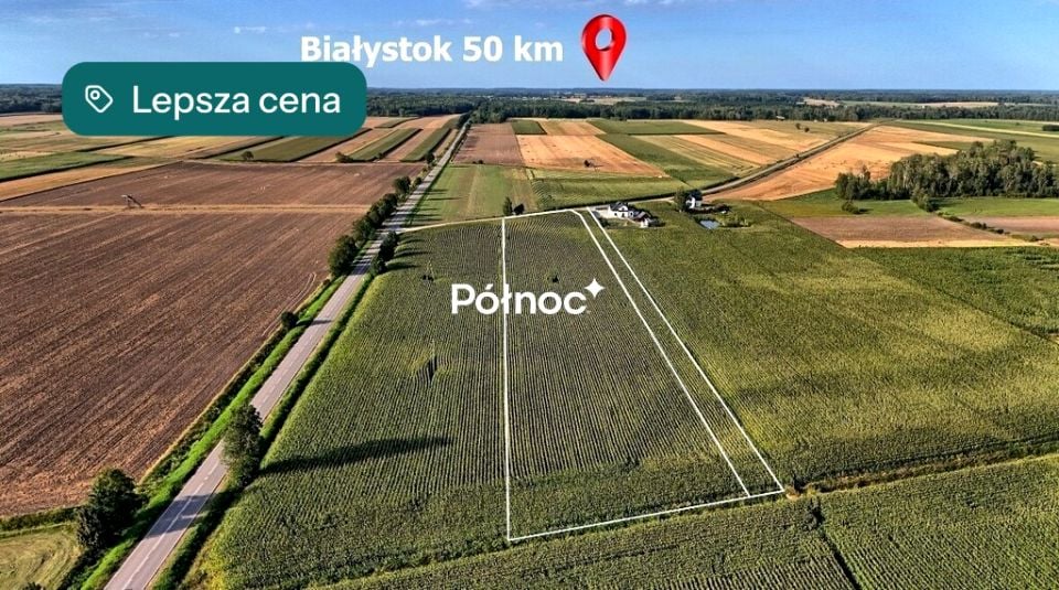 Zdjęcie 3