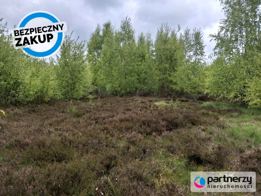 Działka Strzebielino