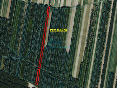 Działka leśna Niżankowice