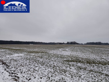 Działka rolna Jerzykowo