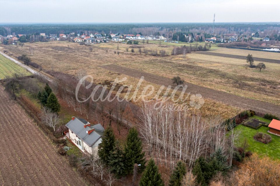 Zdjęcie 3