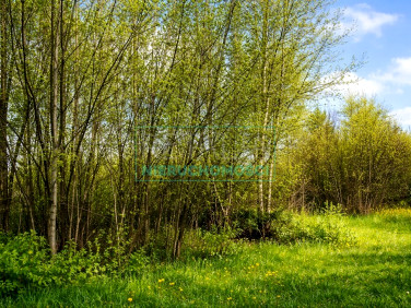 Działka siedliskowa sprzedam