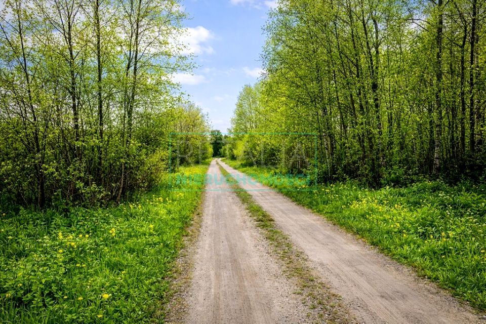 Działka siedliskowa Nowa Bukówka sprzedam