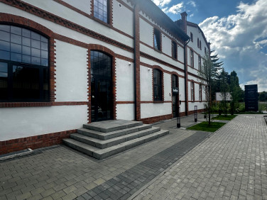 Lokal Toruń wynajem