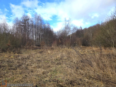 Działka budowlana Szczodrkowice