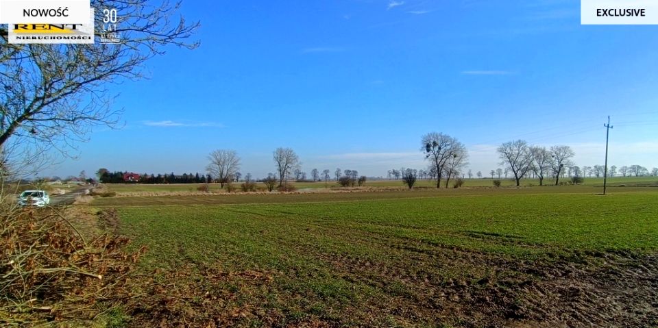 Działka siedliskowa Bielice sprzedam