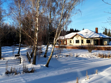 Dom wolnostojący sprzedaż