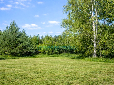 Działka budowlana Jastrzębnik