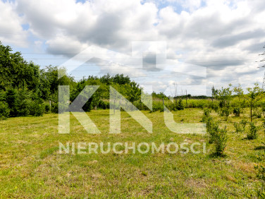 Działka Biadoliny Radłowskie