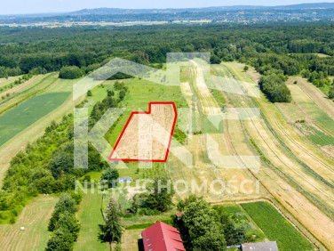 Działka Biadoliny Radłowskie