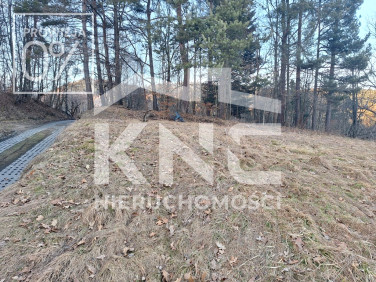 Działka przy lesie
