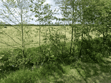 Działka rolna Opole