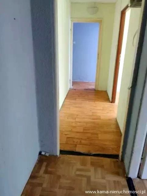 Zdjęcie 3