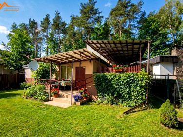 Działka rekreacyjna Chojno