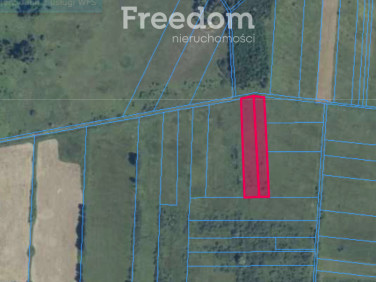 Działka rolna Korczew