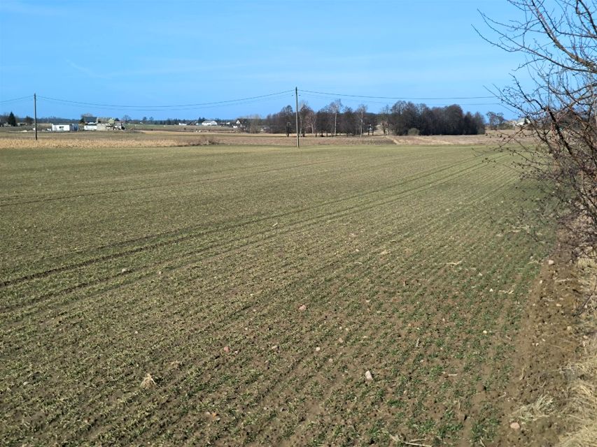 Działka budowlana Stronno