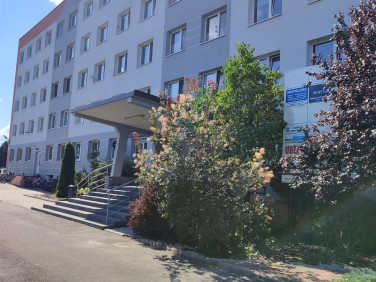 Lokal Bełchatów sprzedaż