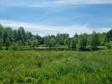 Działka rolna Wilczoruda-Parcela sprzedam