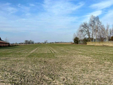 Działka budowlana Miedniewice