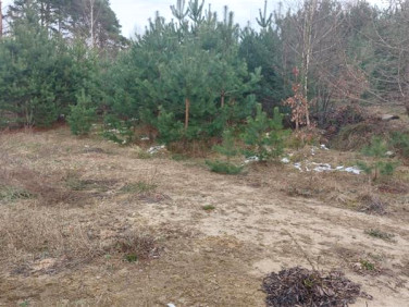 Działka budowlana Gowino