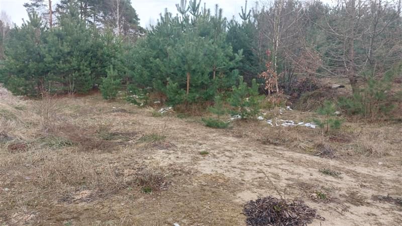 Działka budowlana Gowino