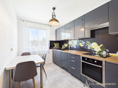 Mieszkanie Wrocław wynajem