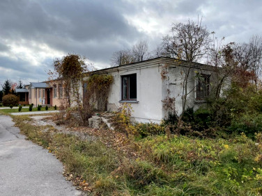 Lokal Wólka Łózecka