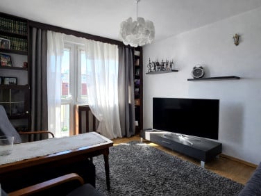 Mieszkanie Piła sprzedaż