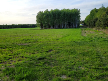 Działka budowlano-rolna Ludwinów