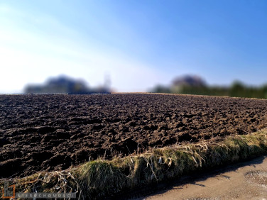 Pusta działka Dojazdów