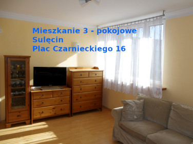 Mieszkanie Sulęcin