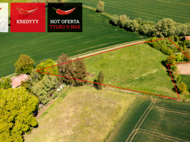 Działka rolna Świerznica