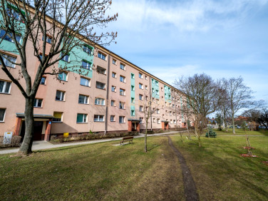 Mieszkanie Jelenia Góra