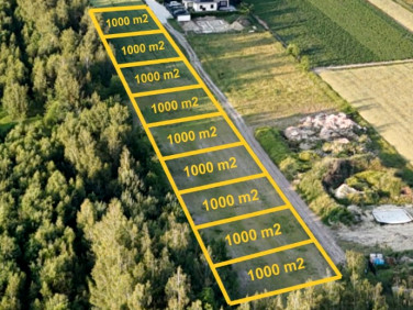 Działka Władysławów