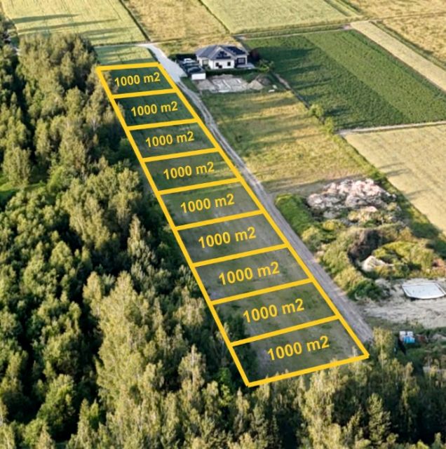 Działka Władysławów