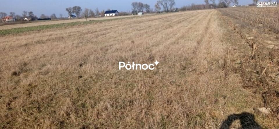 Zdjęcie 2