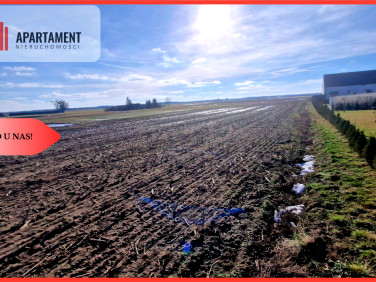 Działka rolna Sępólno Krajeńskie