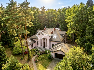 Lokal Zalesie Górne